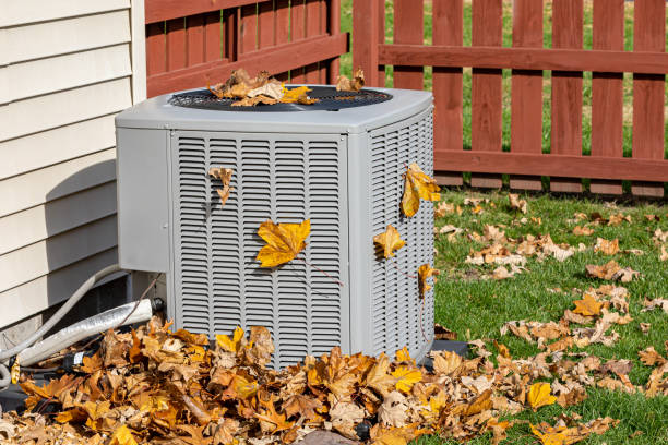 Best HVAC air duct cleaning  in Beach Haven, NJ